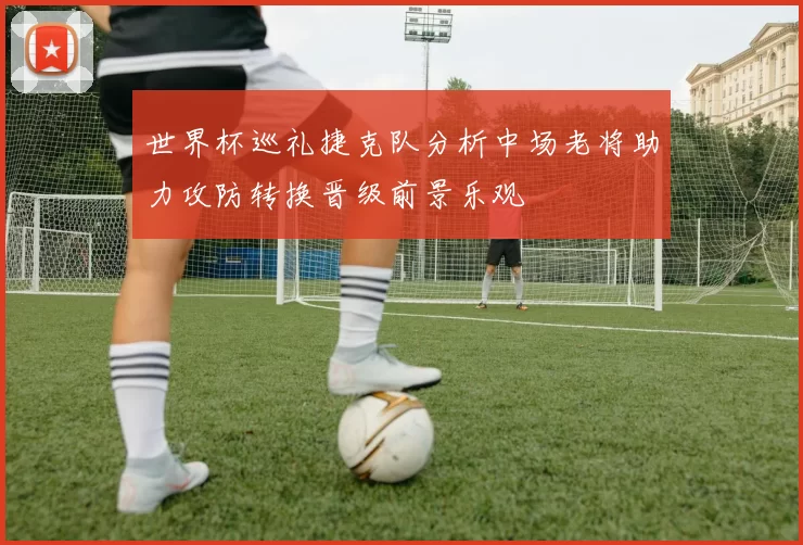 世界杯巡礼捷克队分析中场老将助力攻防转换晋级前景乐观