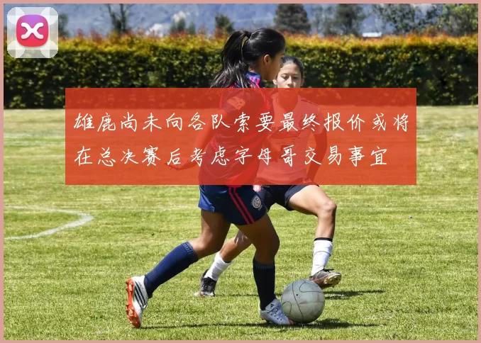 雄鹿尚未向各队索要最终报价或将在总决赛后考虑字母哥交易事宜